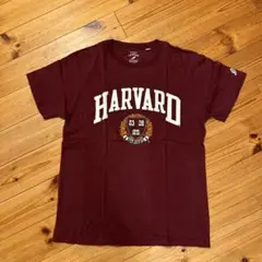 ハーバード　カレッジ　Tシャツ
