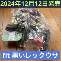 【ポケモンセンター限定】B 黒いレックウザ ぬいぐるみ Pokémon fit