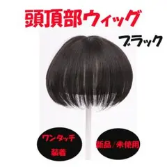 □頭頂部 ウィッグ 部分かつら ヘアピース 自然 ブラック つけ毛 メンズ130