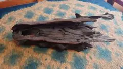 Item thumbnail for item e6d68564-aaba-40b3-87c9-d814b697ded3