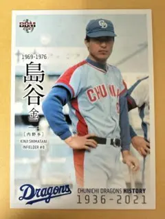 73年カルビープロ野球カード 東海地区限定版No.224島谷金二 中日ドラゴンズ 2025年最新】島谷金二の人気アイテム - メルカリ