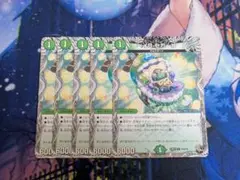 ベイBセガーレ 5枚 ベイビーセガーレ