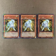 No.14207 遊戯王 ライトロード・ハンターライコウ　ノーマルパラレル