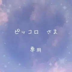 専用ページ