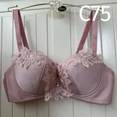ワコール　サルート　女優ブラ　C75
