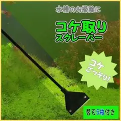 大掃除必須アイテム‼︎ アクアスクレーパー 水槽コケ取り 簡単 便利 替え刃5枚
