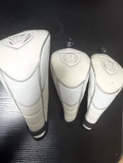 Item thumbnail for item 6f9e1488-5654-472a-ba26-5f674ea89127