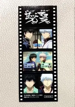 銀魂 土方十四郎 ザファイナル フィルム風ステッカー 銀魂展 ステッカー