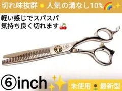 10%セニングシザー切れ味抜群プロ用スキバサミ美容師サロン仕様ルックス満点ハサミ