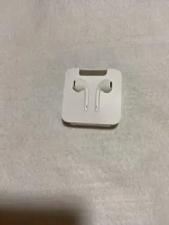 Apple EarPods with Lightning Connector