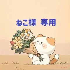 ねこ様　専用(8/16迄)