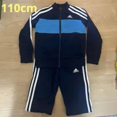 Item thumbnail for item ddb0747a-c8c4-480f-90c1-be06659ffb1c