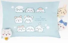 Item thumbnail for item b0967540-1267-45db-84e0-09b51cc8aacb