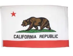 カリフォルニア州旗 3×5フィート　約90×150cm