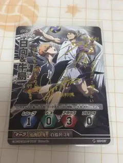 ハイキュー！！ バボカ！！ サインカード 日向&影山 HV-04-051 ハイキュー！！バボカ！！サインカード 日向&影山 HV-04-051