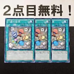 11938 遊戯王 一族の結束 ノーマル 2点目無料 SD20