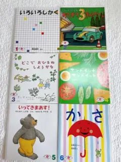 ‼️本日限定価格‼️
