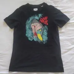 PURE ROCK ENERGIE Tシャツ Lサイズ