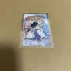 三ツ矢凡人 アニメイトBL腐ェス クリアカード