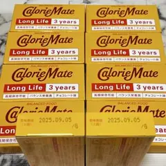カロリーメイト　チョコレート　10箱セット　まとめ売り