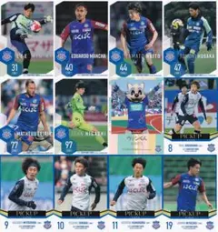 ヴァンフォーレ甲府 2025 オフィシャルカード 12枚 ③