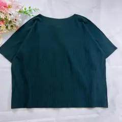 極美品✨ ISSEY MIYAKE me a-poc プリーツ カットソー