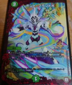 ボントプラントボ　プロモ