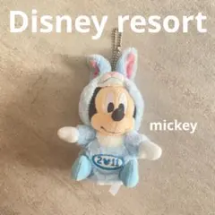 【希少品】東京ディズニーリゾート 2011年 うさぎ ミッキー キーホルダー