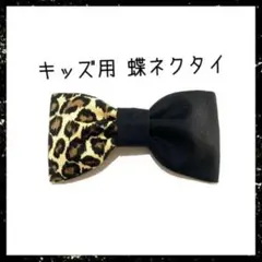 Item thumbnail for item 57ec72b3-50c0-401a-b31c-5a91384fe641