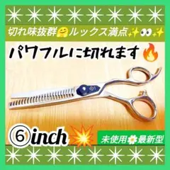 Item thumbnail for item 0dbc6e73-f2f3-4f7b-8921-243c15877cc2