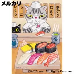 絵画「働く猫〜寿司屋の猫」イラスト/アート/原画/猫/エキゾチックショートヘア
