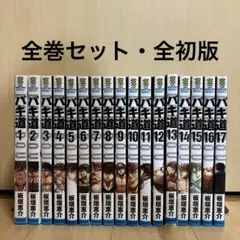 バキ道 1-17巻　全巻セット