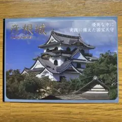 Item thumbnail for item 3d5c3d5f-df85-4752-b3c0-ce1df286306b