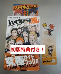 初版特典付き！ハイキュー!! ファイナルガイドブック 排球極!