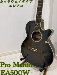 2025年最新】PRO MARTIN EA500Wの人気アイテム - メルカリ