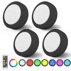 Item thumbnail for item 213558de-a90c-455e-bc47-9a5455cce3db