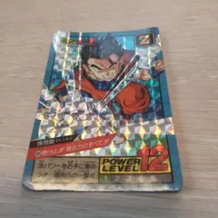 ドラゴンボールカードダス スーパーバトル No.529
