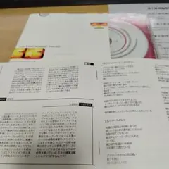 the PROMISE RING 30 Everywhere CD日本盤