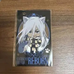 家庭教師ヒットマンREBORN ナンジャ クリアイラストシート スクアーロ