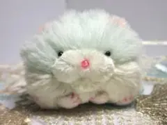 オーダー品( ᵒ̴̶̷̤◦ᵒ̴̶̷̤ )