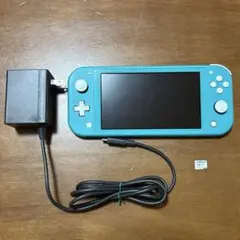 switch lite