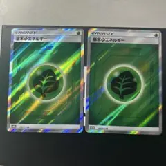 基本草エネルギー SR sm 2枚セット