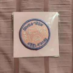 SEVENTEEN セブチ ジュン carat camp ワッペンバッジ