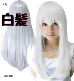 Item thumbnail for item cde66803-843f-45c0-a65e-42e540a64ebf