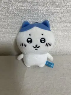 Item thumbnail for item 8130e289-2c3e-4a04-a481-5df28712f56e