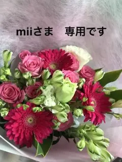 miiさま専用 ラボット どんぐりポシェット 濃茶