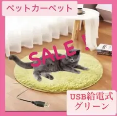 Item thumbnail for item 240c9e83-d737-4713-9a01-a82c1389c14d