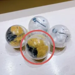 きつねくん ウルフくん ガチャガチャ カプセルトイ ぬいぐるみ キーホルダー