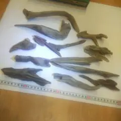 Item thumbnail for item 0438351e-2d66-4fe5-a102-bb8100b21138