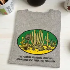 【美品】DULTON TシャツSAGUARO バックプリント グレーTシャツ